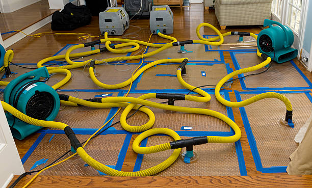 Professional Structural Drying And Dehumidification technician working in Pomeroy, IA